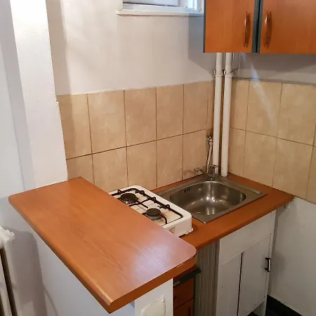 Apartment Rent House Unirii *